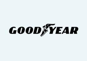 GOODYEAR 04220040009 - ACEITE GOODYEAR ELITE 1L  MOTOBIKE 2T SYNT