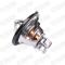 STARK RECAMBIOS SKTC0560130 - Termostato, refrigerante