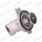 STARK RECAMBIOS SKTC0560156 - Termostato, refrigerante