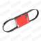 STARK RECAMBIOS SK6PK923 - STARK SK-6PK923 Correa trapecial poli V